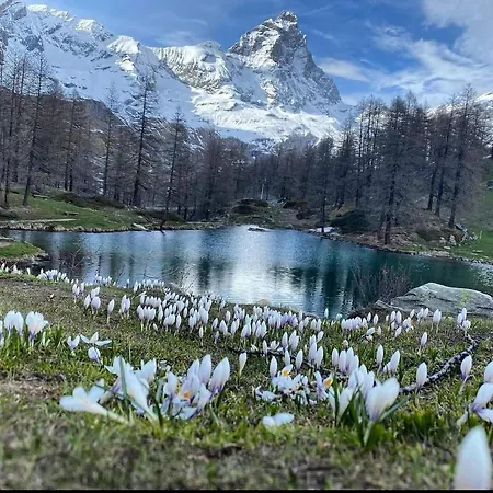 Nus-sci-castello-astronomia-casino' * Nus